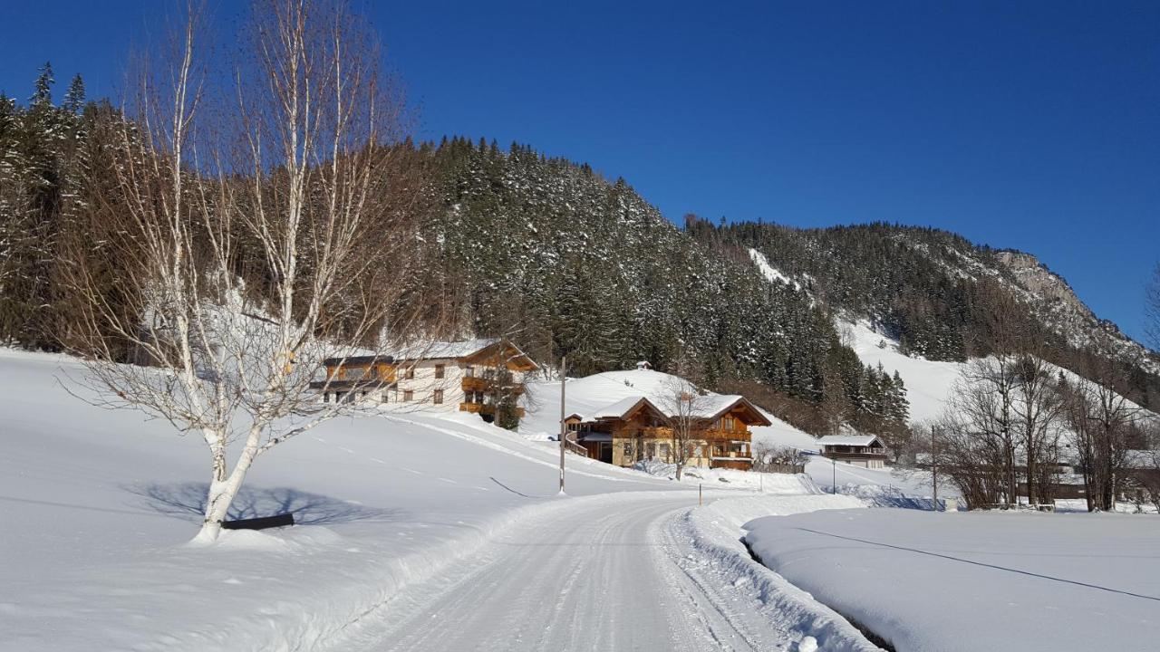 Ferienhaus Elisabeth Forstau  Exteriör bild